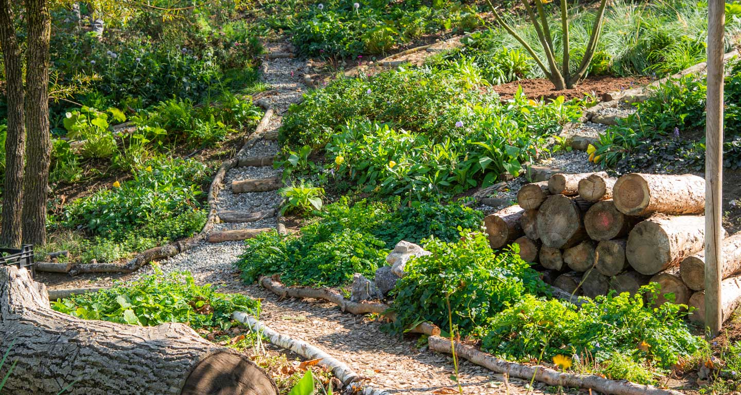 Garten Forum Garten Forum